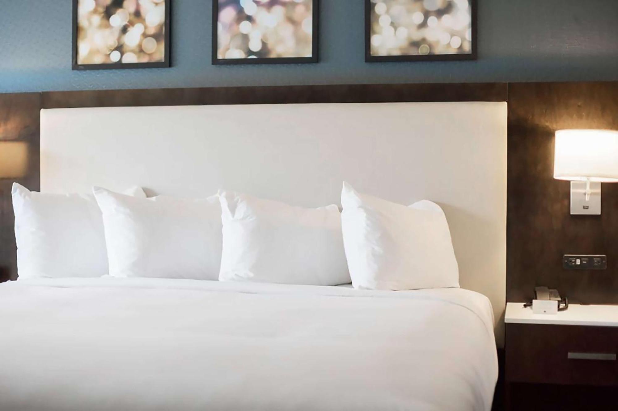 Hilton Garden Inn Minneapolis - University Area Dış mekan fotoğraf